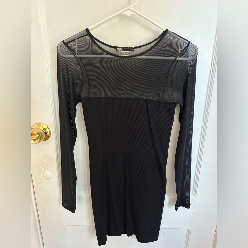 Zara Mesh Longsleeve Mini Dress